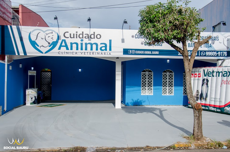 Clinica Veterinária Cuidado Animal
