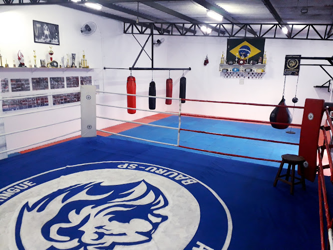 Sports Training Center "Lions of the Ring"